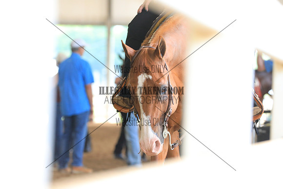 KEE_1639