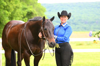 AJB_0281