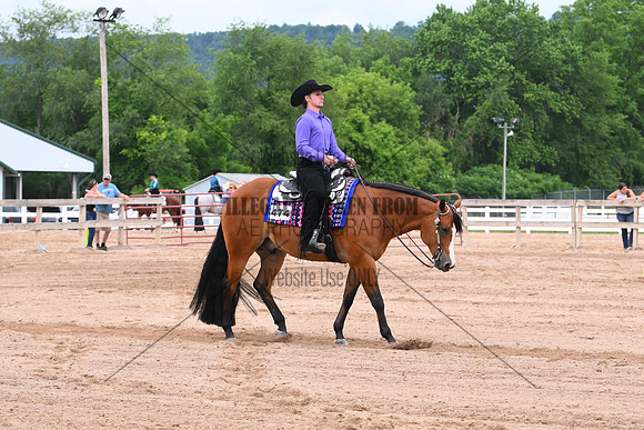 AJB_0462