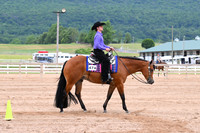 AJB_0465