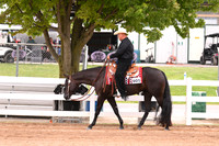 Amatuer Walk Jog Western Pleasure
