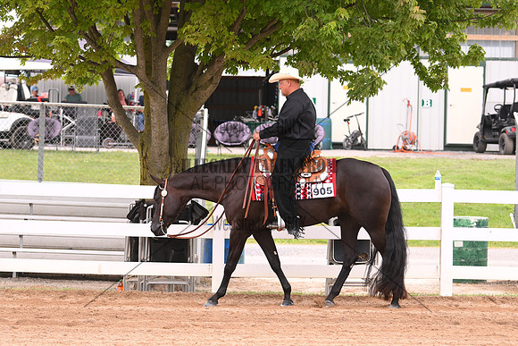 AJB_0354