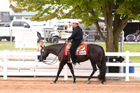 AJB_0355