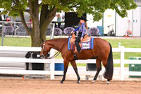 AJB_0329