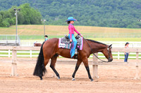 AJB_0343