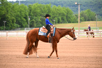 AJB_0295
