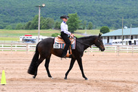 AJB_0476
