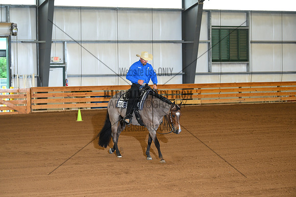 AJB_0543
