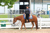Amateur Western Pleasure