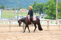 L1 Green Western Pleasure