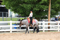 Youth 14-18 Western Pleasure