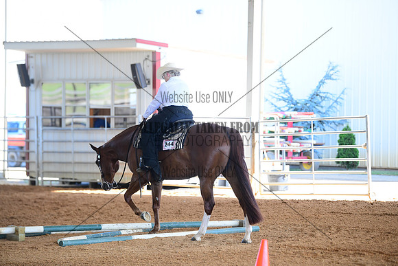 STE_0686