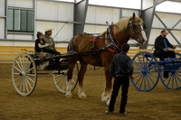 Pleasure Cart-15
