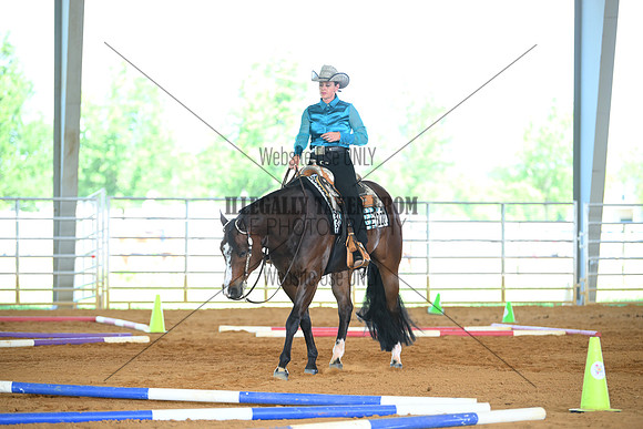 AJB_2291