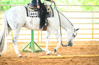 AJB_2700
