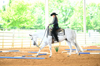 AJB_2704