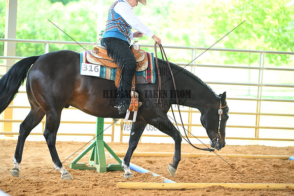 AJB_2554