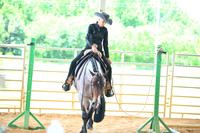 AJB_2631