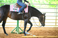 AJB_2518