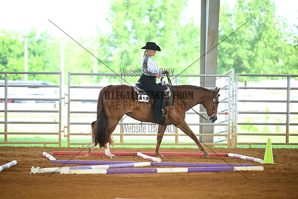 AJB_2014