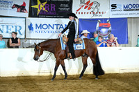All Breed WJ Western Pleasure