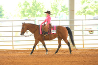 All Breed Walk Trot Working Western Rail