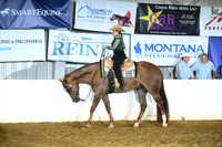 All Breed Western Pleasure