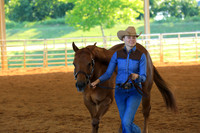 Amateur NJQHA Ranch Conformation
