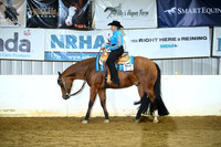 Lvl 1 Amateur Western Pleasure