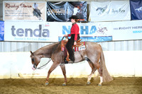 Lvl 1 Youth Western Pleasure