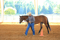 Open NJQHA Ranch Conformation