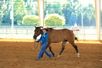 Youth NJQHA Ranch Conformation