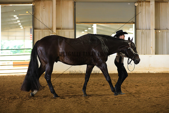 KEE_7838