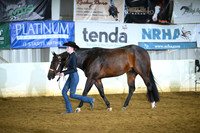 AJB_4190