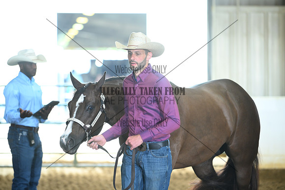 AJB_4197