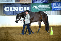 AJB_4193