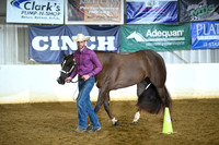 AJB_4196