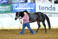 AJB_4138