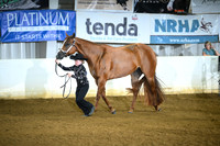 AJB_4068