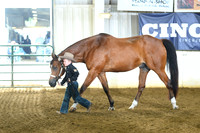 AJB_4074