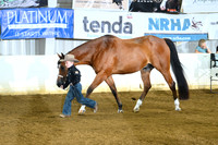 AJB_4073