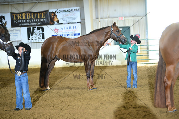 AJB_4097