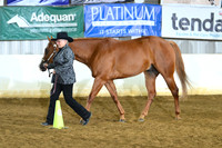 AJB_4374