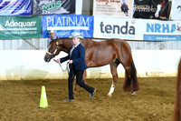 AJB_4380