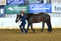 AJB_4272