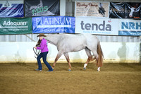 Amateur Performance Mares