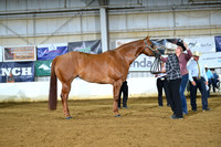 AJB_4591