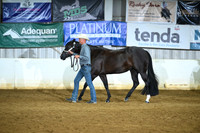 AJB_4601