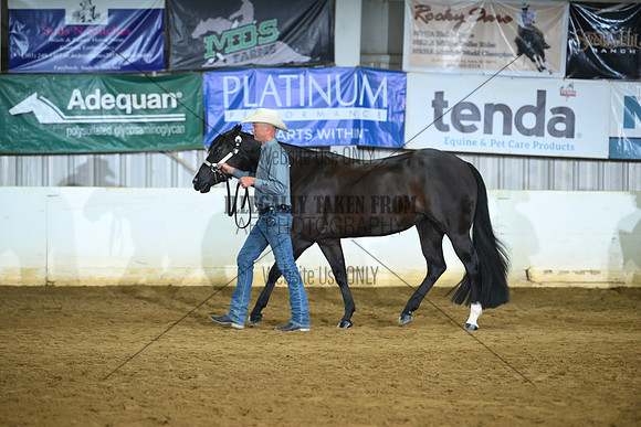AJB_4601