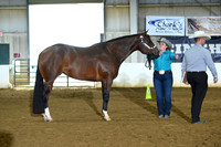AJB_4619